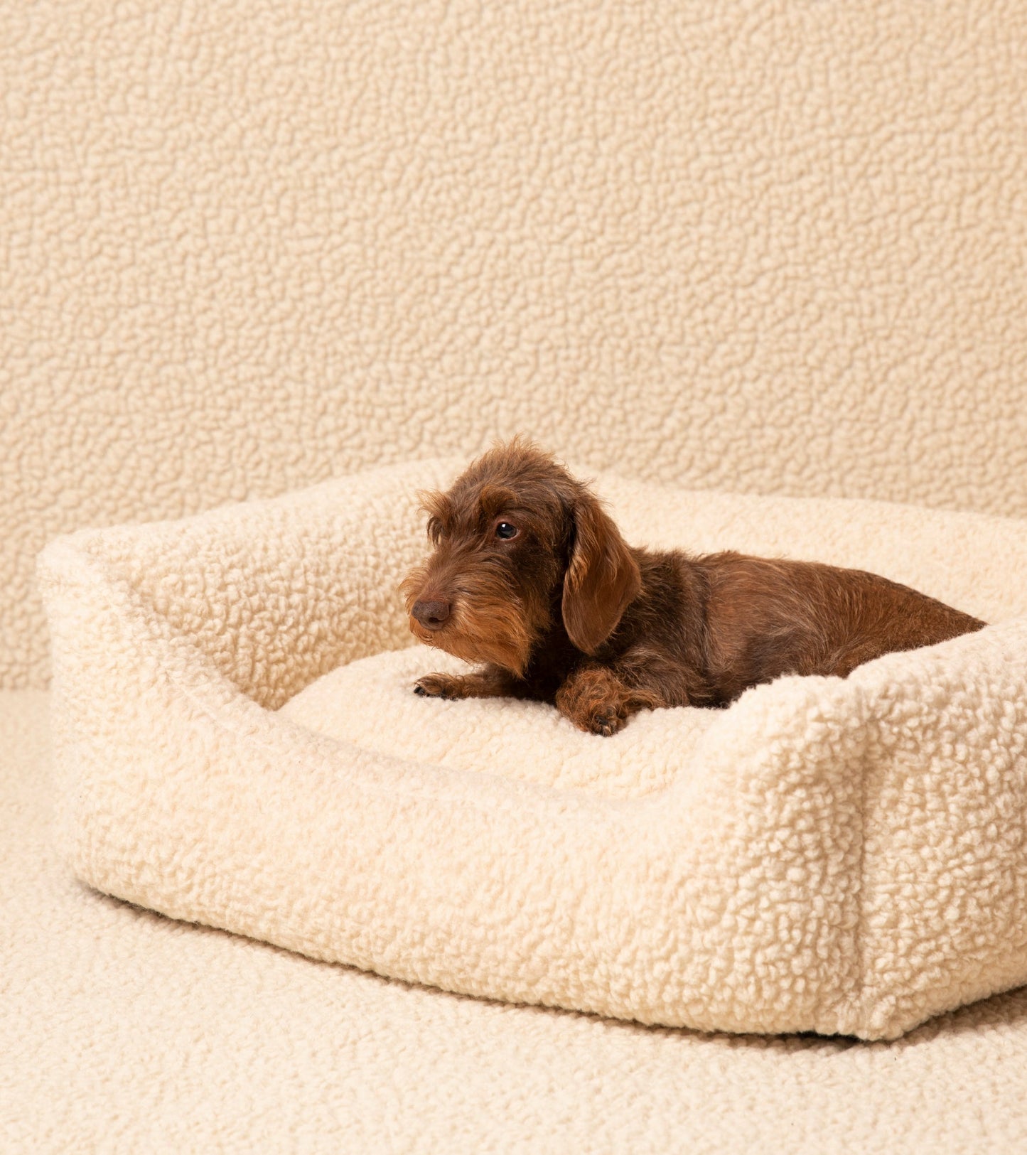 HENRI BOUCLE WOOL