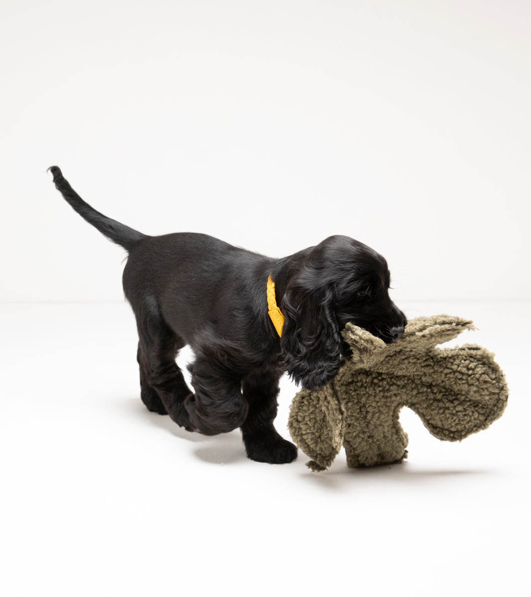 MIMMO-DOG TOY FIG