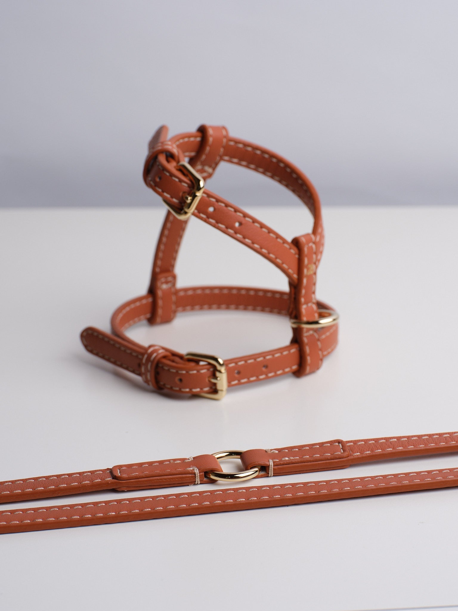 GABRIELE LEASH
