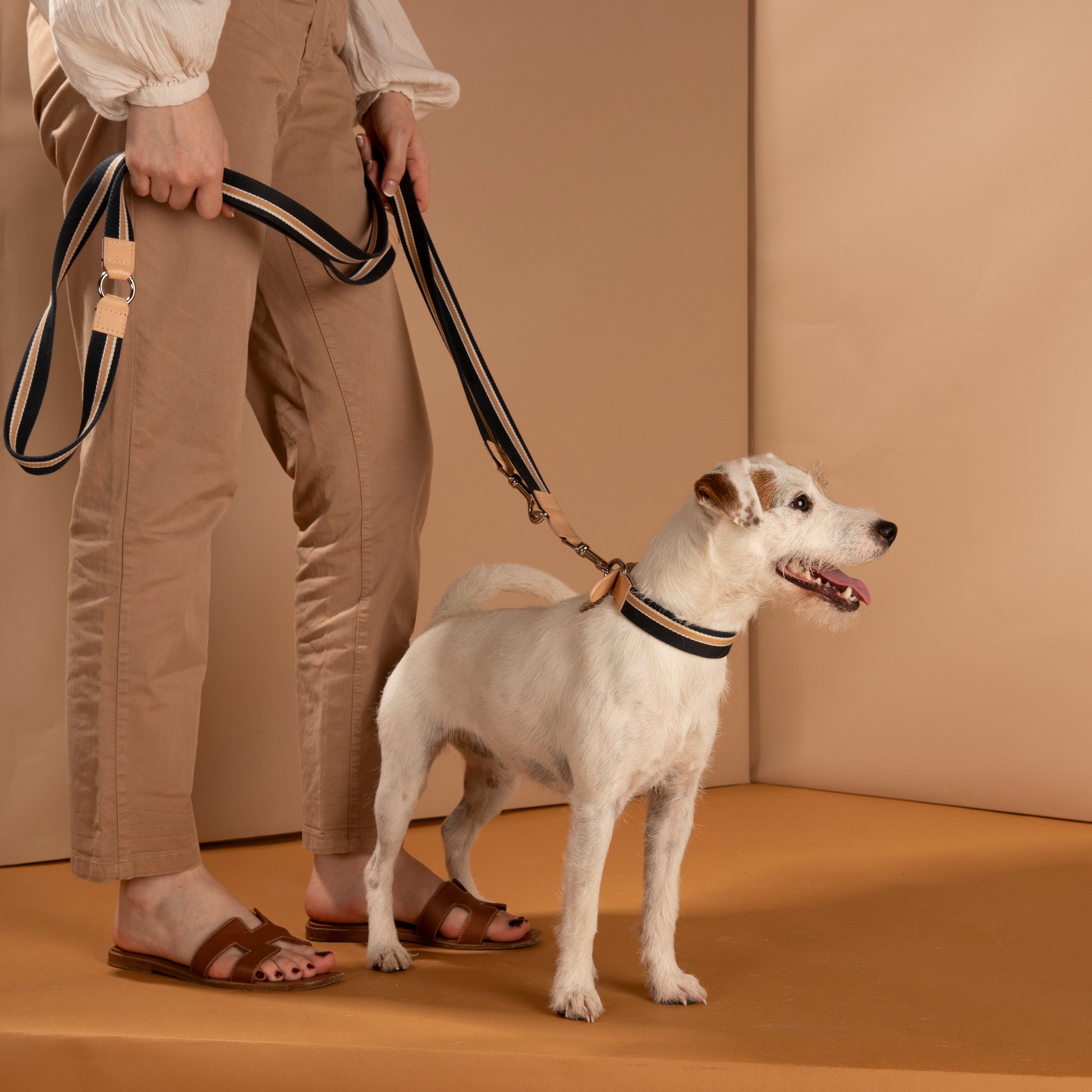 FRANCO-265cm TRAINING LEASH