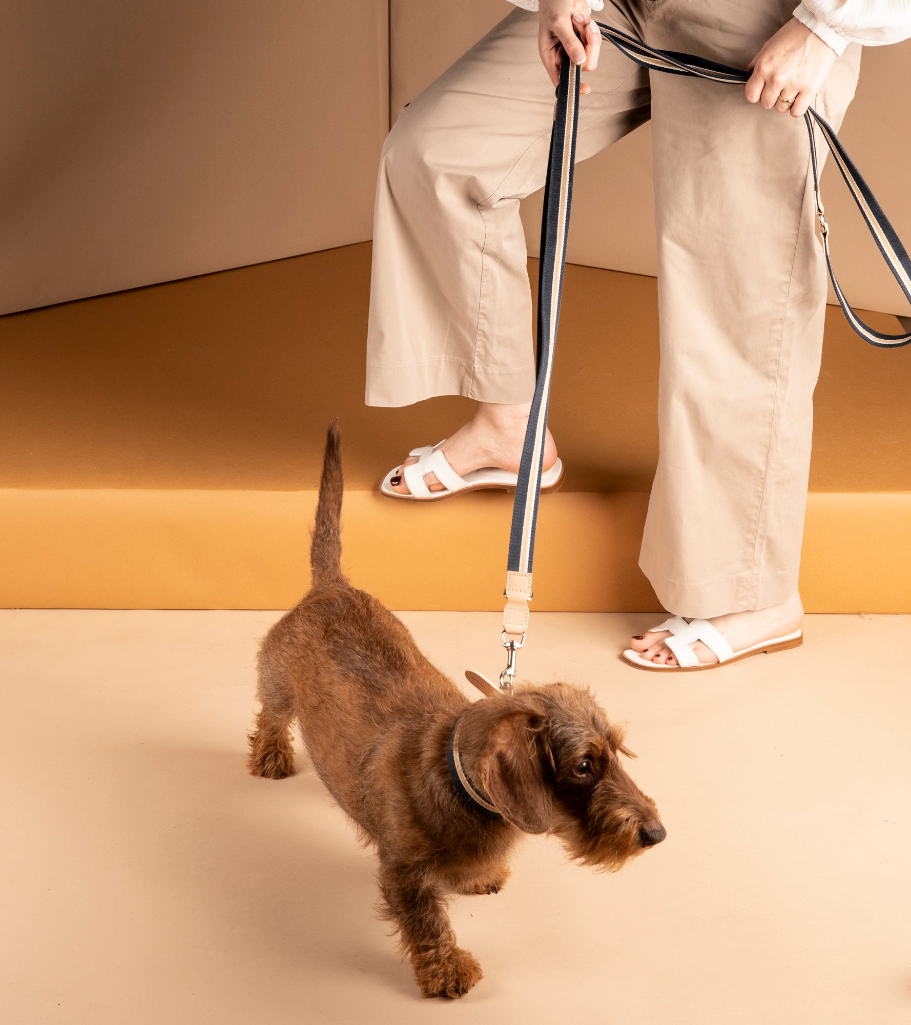 FRANCO-265cm TRAINING LEASH