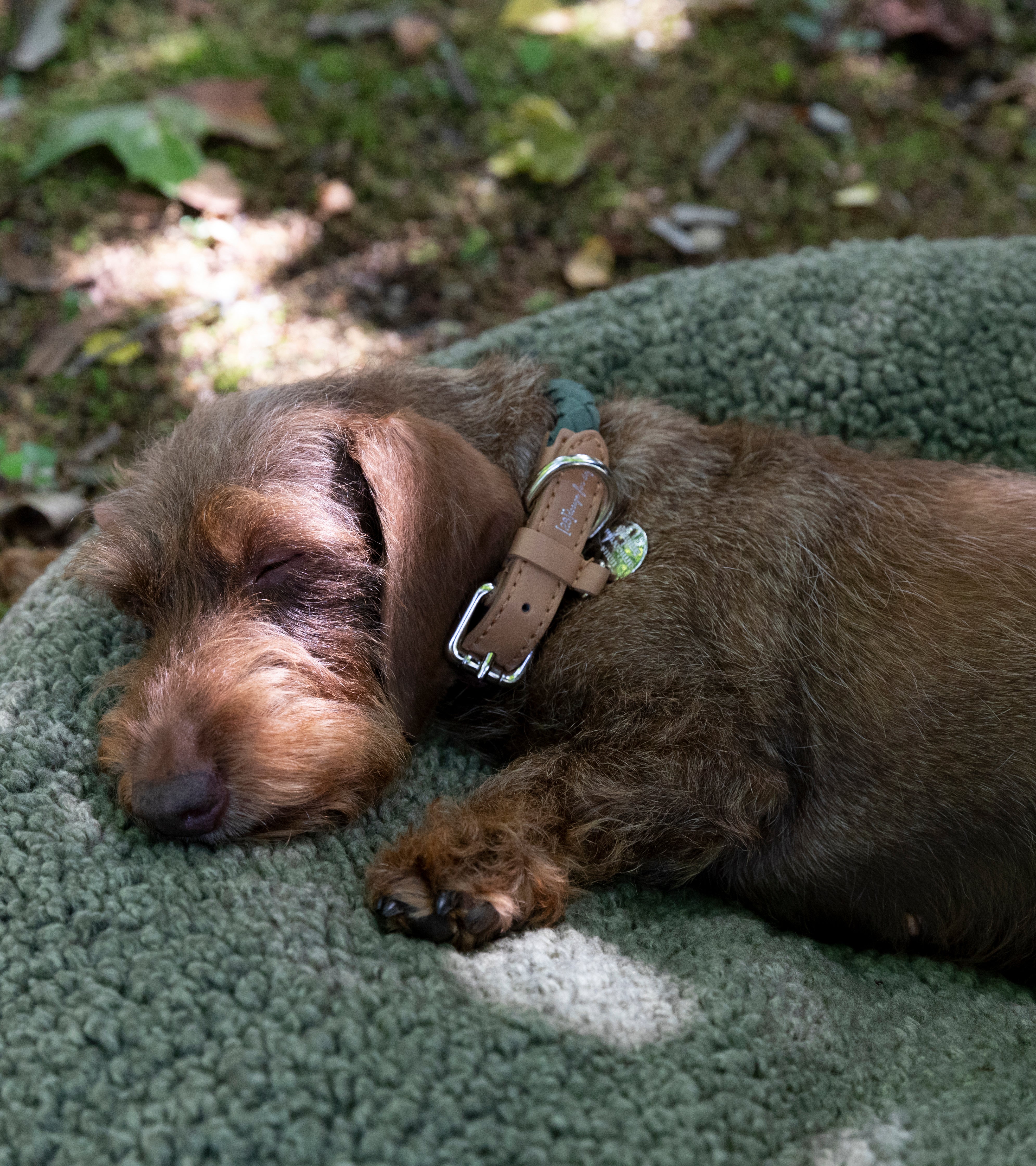 FULVIO - BOUCLE WOOL