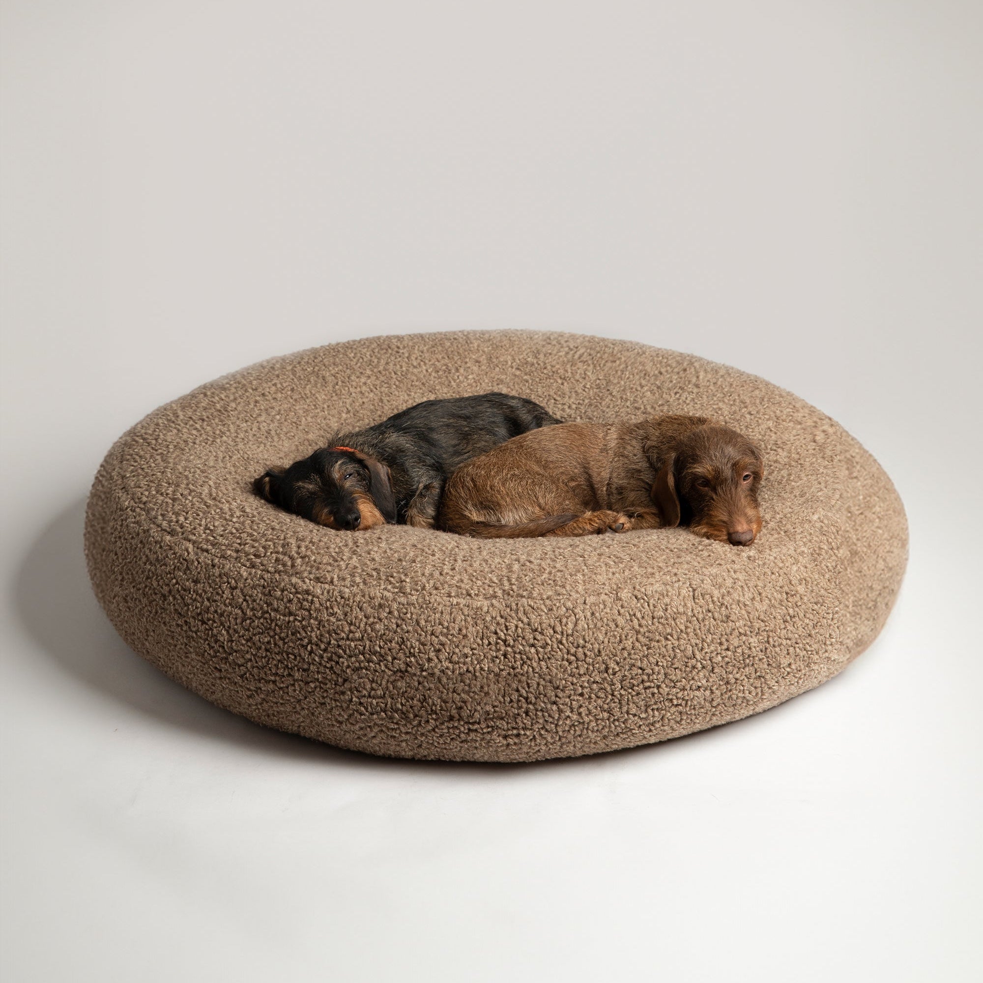 FULVIO - BOUCLE WOOL