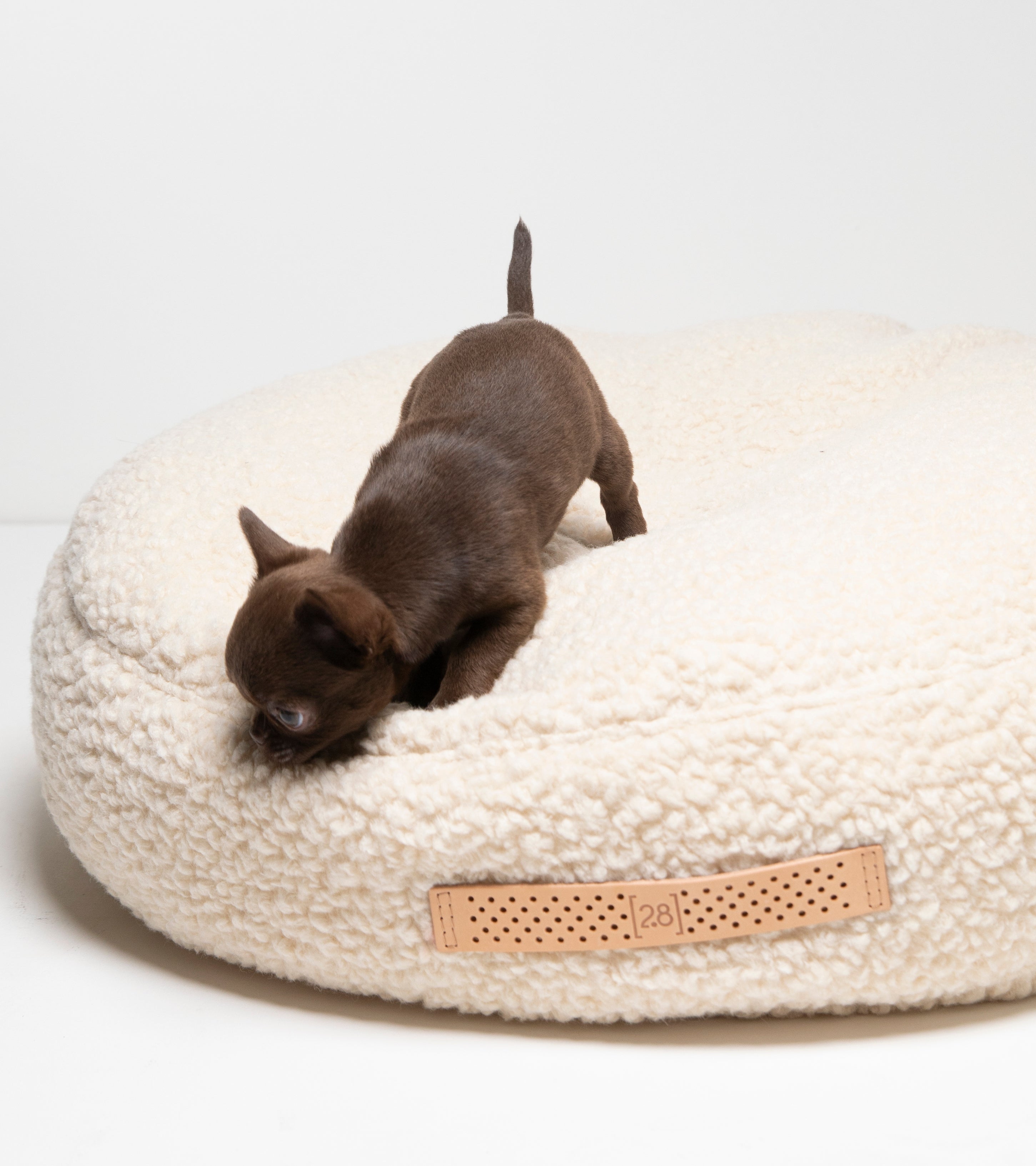 FULVIO - BOUCLE WOOL