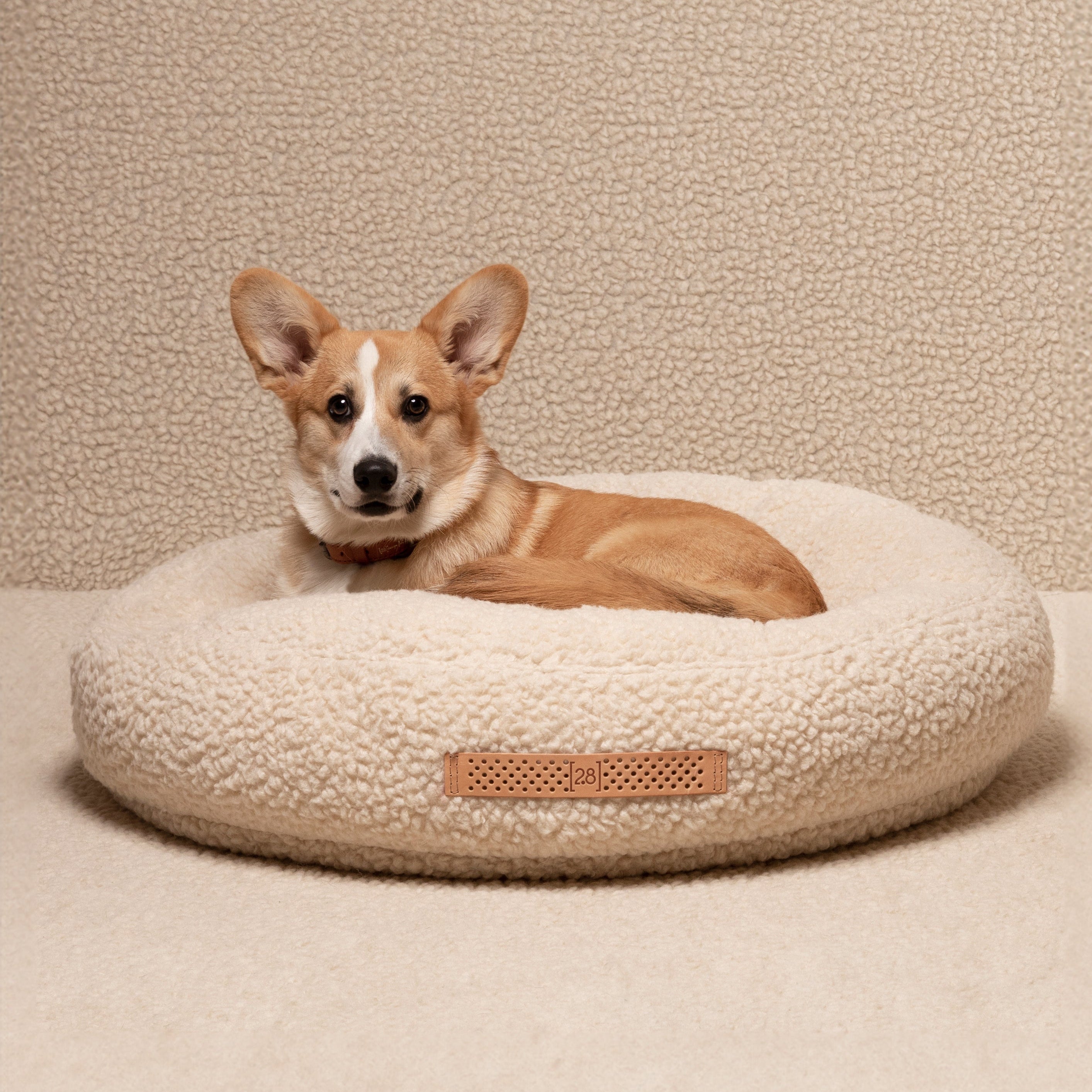 FULVIO - BOUCLE WOOL