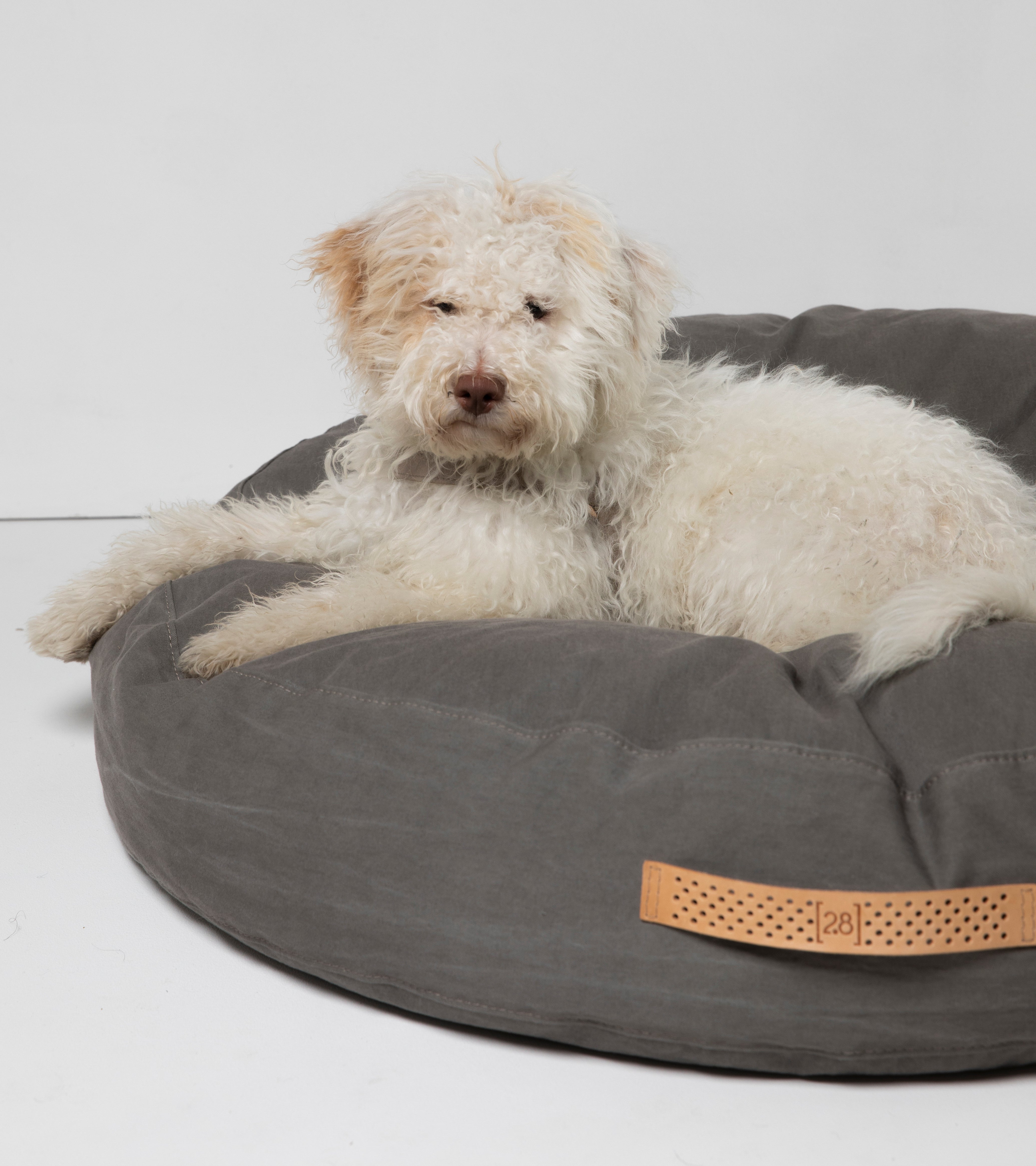 FULVIO DOG CUSHION DRILL COTTON