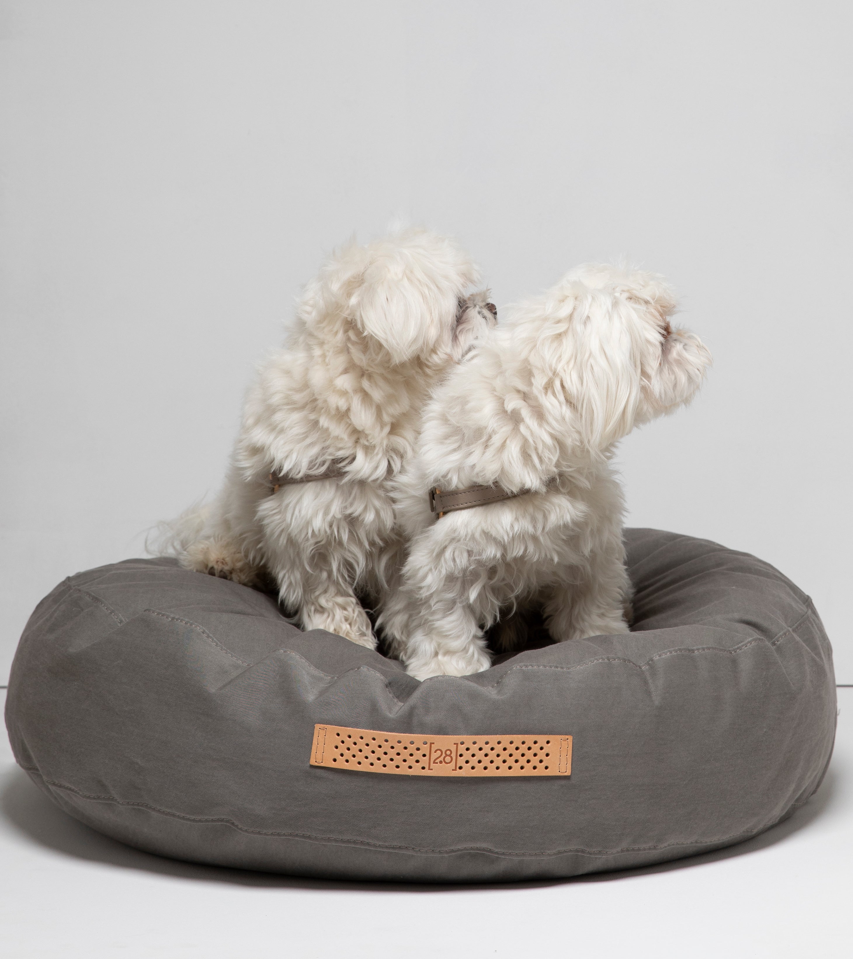 FULVIO DOG CUSHION DRILL COTTON