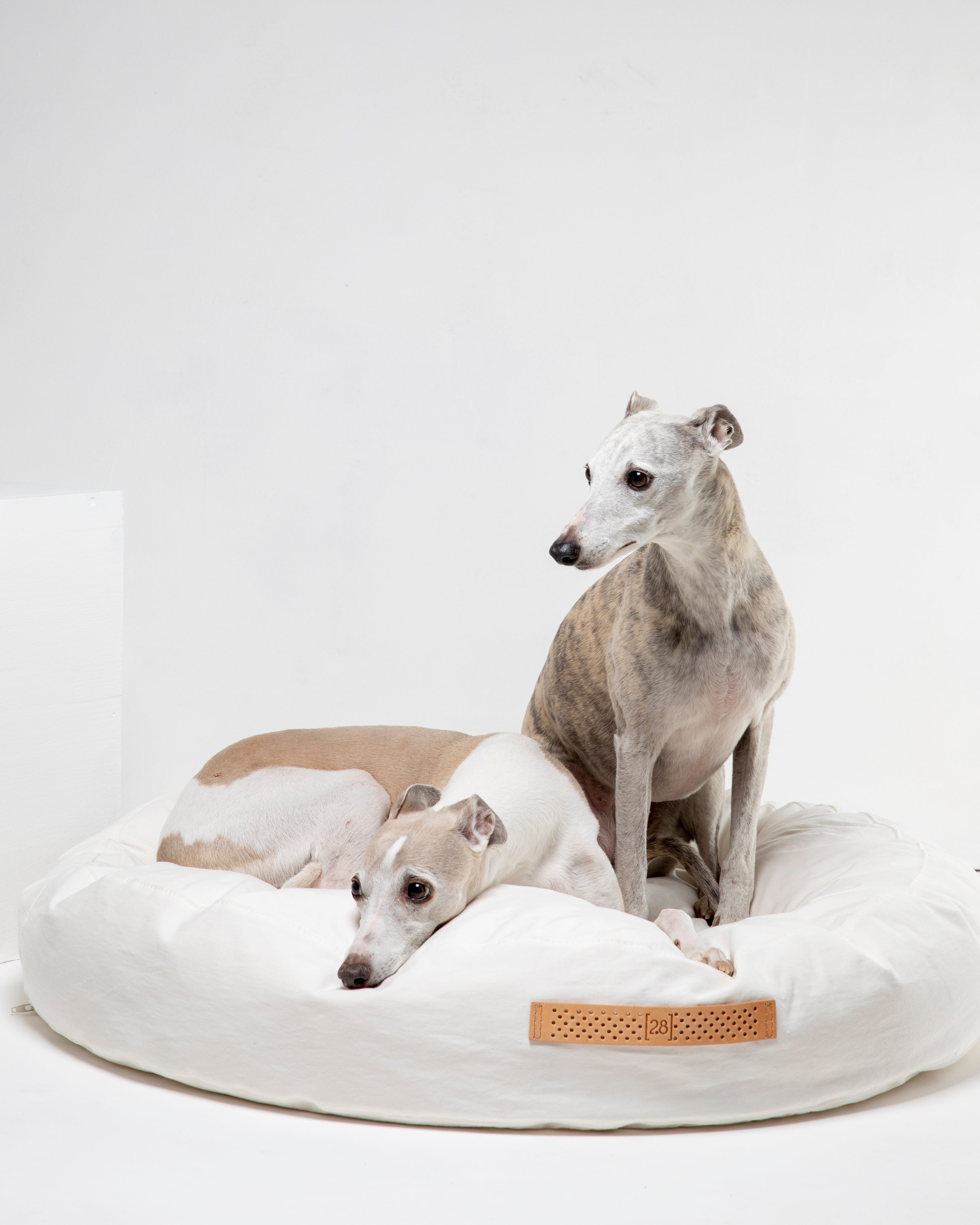 FULVIO DOG CUSHION DRILL COTTON