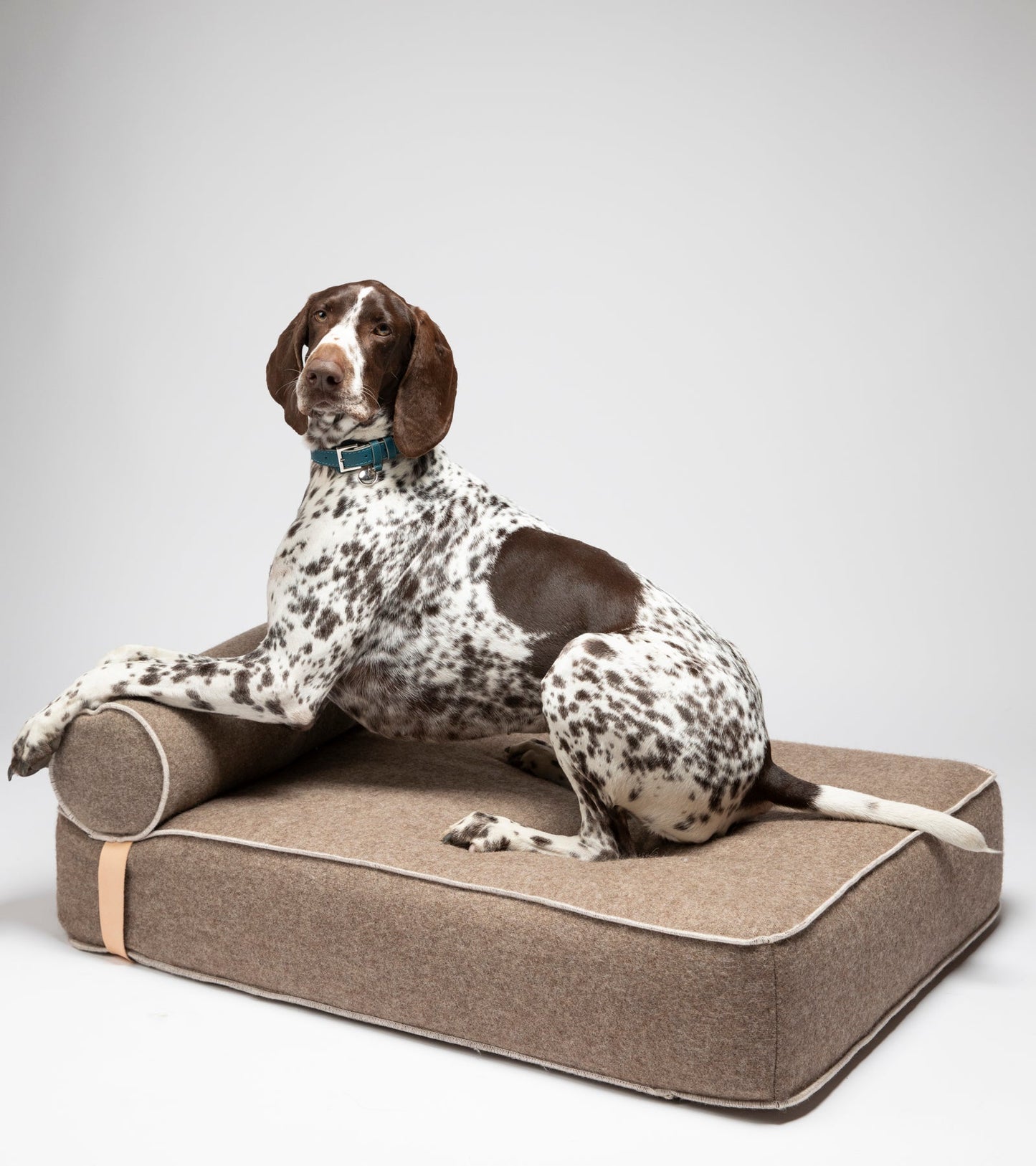 GIAMPAOLO DAY BED FOR DOGS IN RECYCLED WOOL