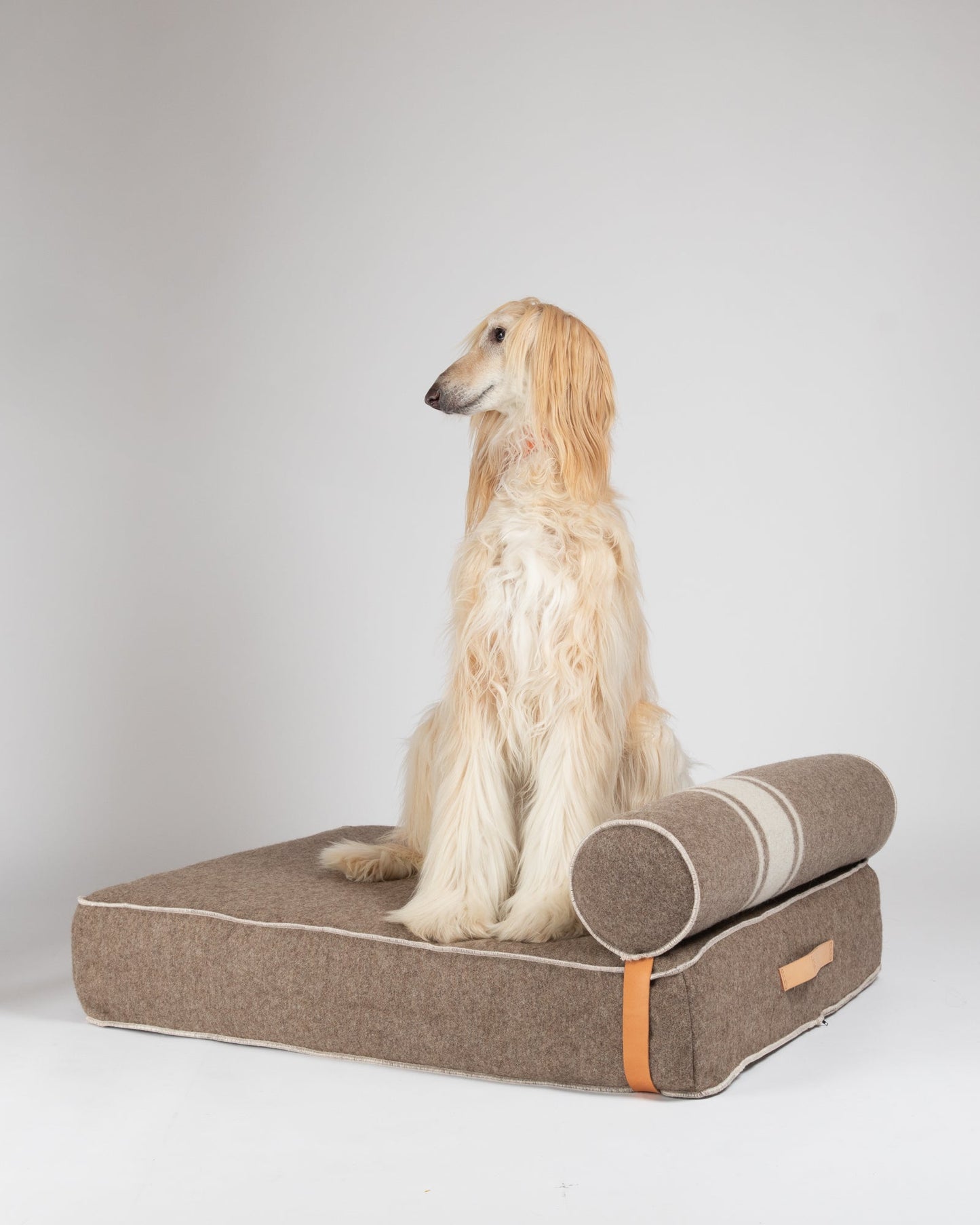 GIAMPAOLO DAY BED FOR DOGS IN RECYCLED WOOL