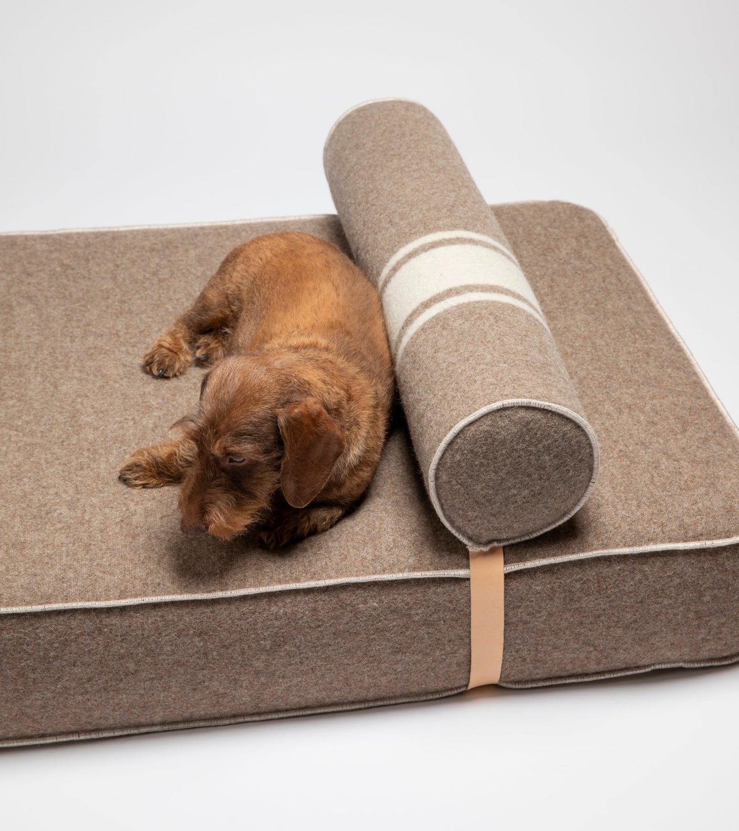 GIAMPAOLO DAY BED FOR DOGS IN RECYCLED WOOL