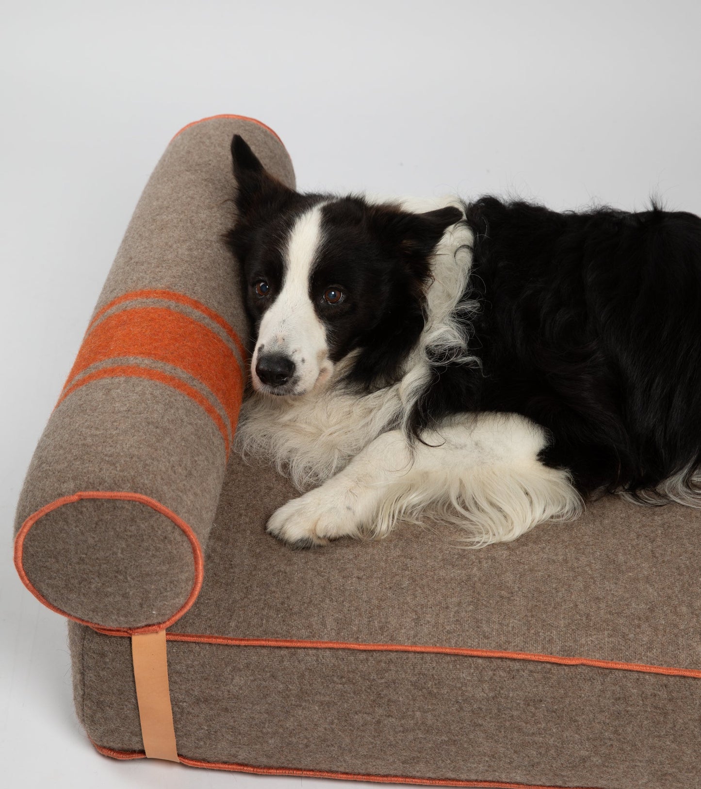 GIAMPAOLO DAY BED FOR DOGS IN RECYCLED WOOL