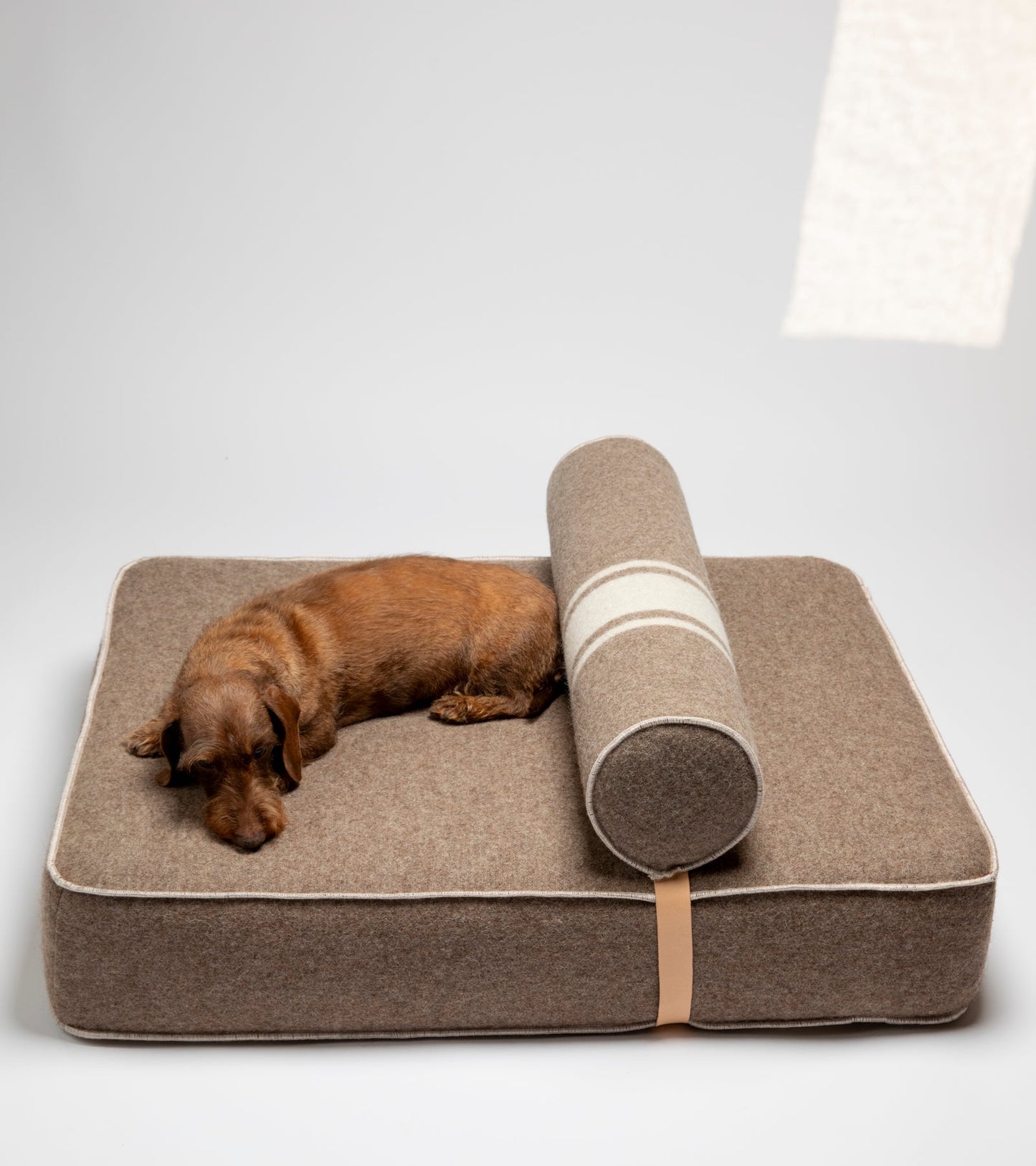 GIAMPAOLO DAY BED FOR DOGS IN RECYCLED WOOL