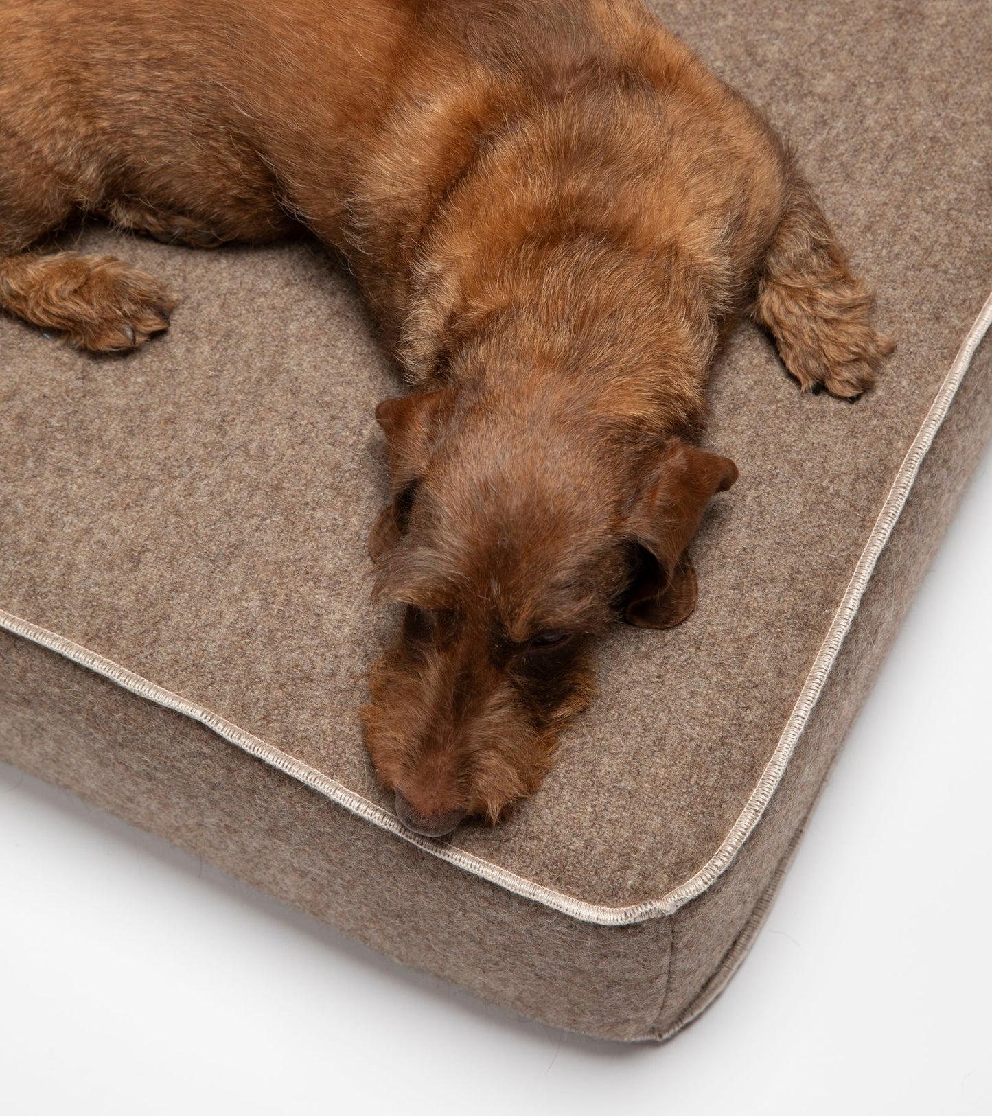 GIAMPAOLO DAY BED FOR DOGS IN RECYCLED WOOL
