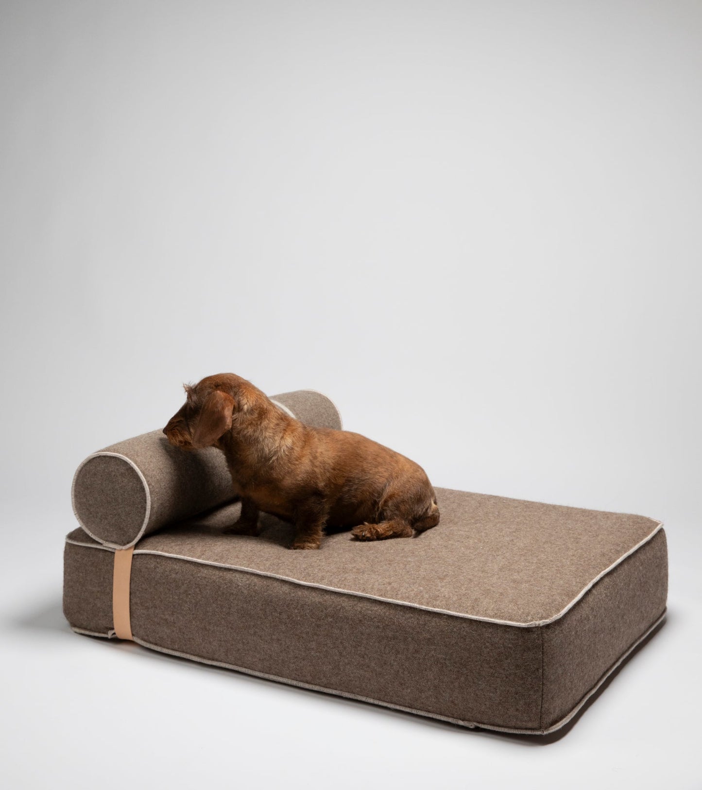 GIAMPAOLO DAY BED FOR DOGS IN RECYCLED WOOL