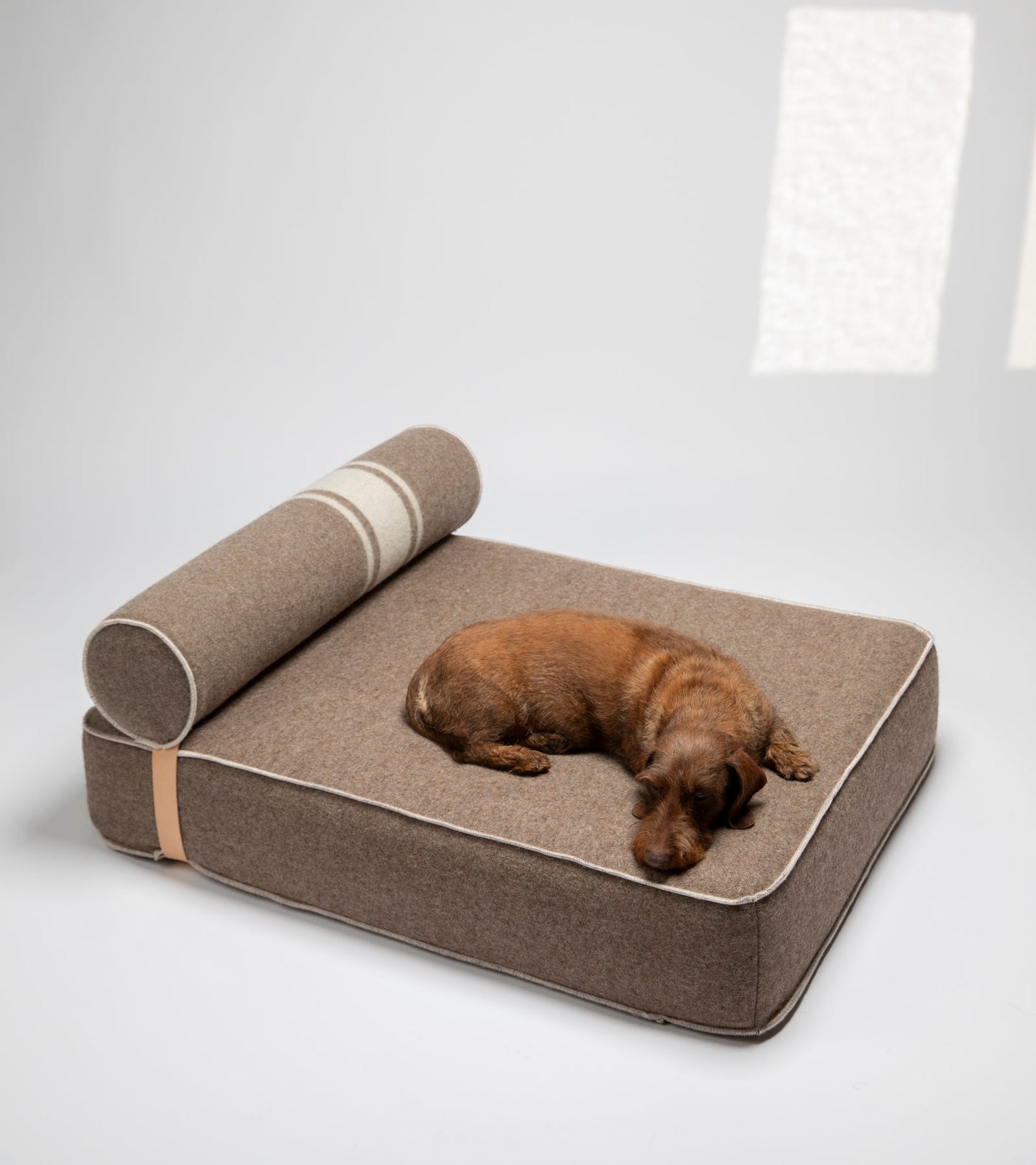GIAMPAOLO DAY BED FOR DOGS IN RECYCLED WOOL