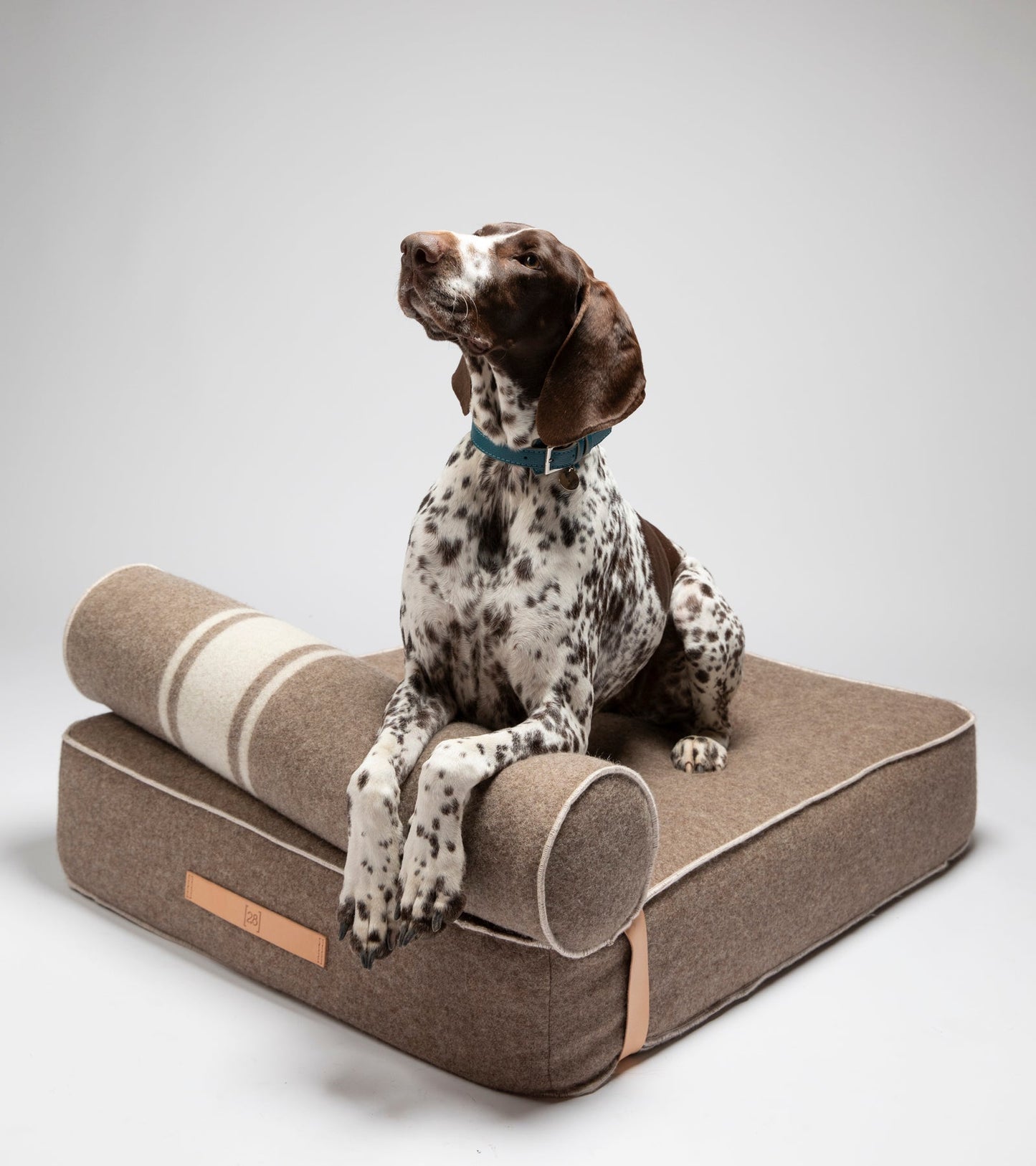 GIAMPAOLO DAY BED FOR DOGS IN RECYCLED WOOL
