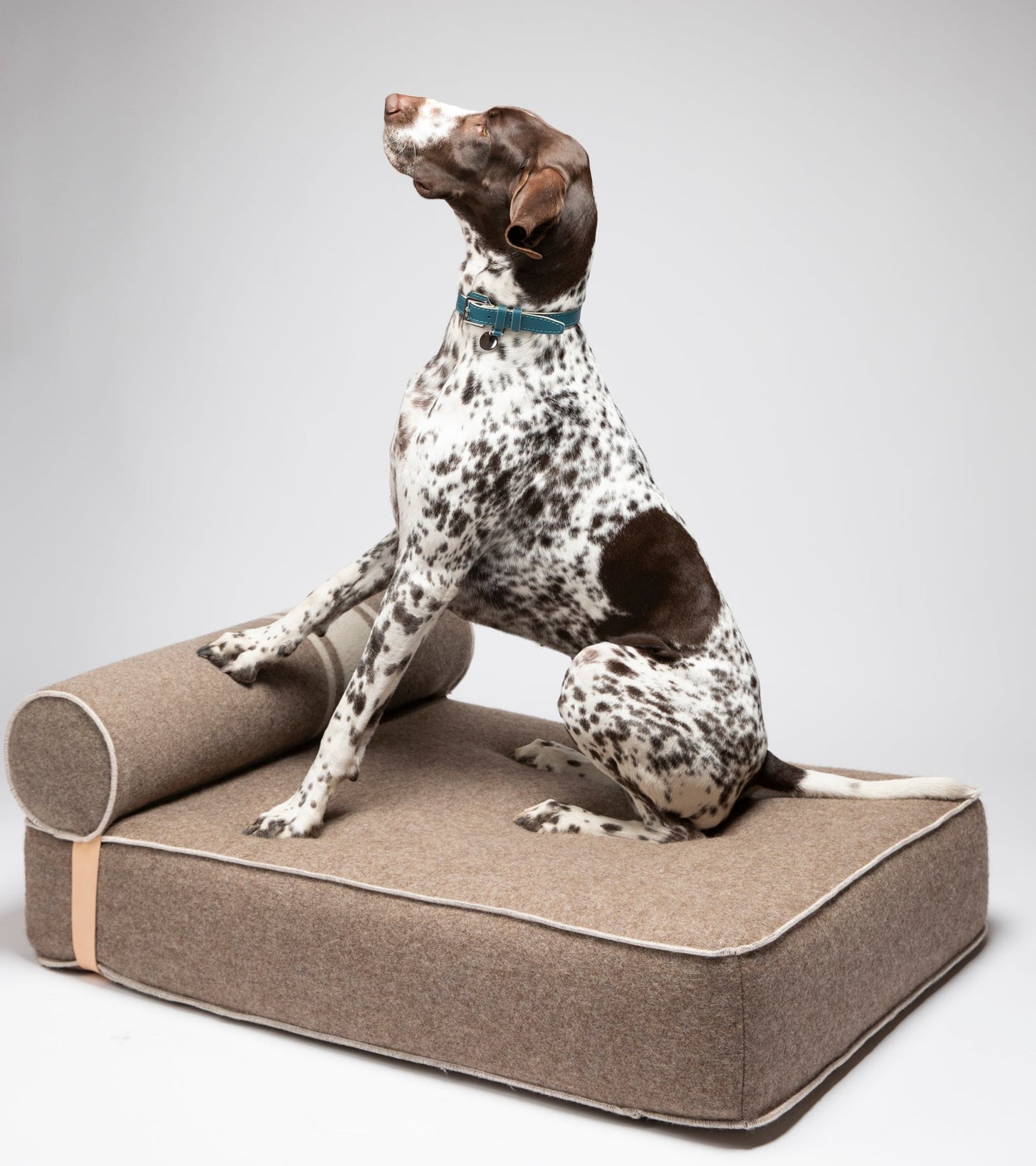 GIAMPAOLO DAY BED FOR DOGS IN RECYCLED WOOL