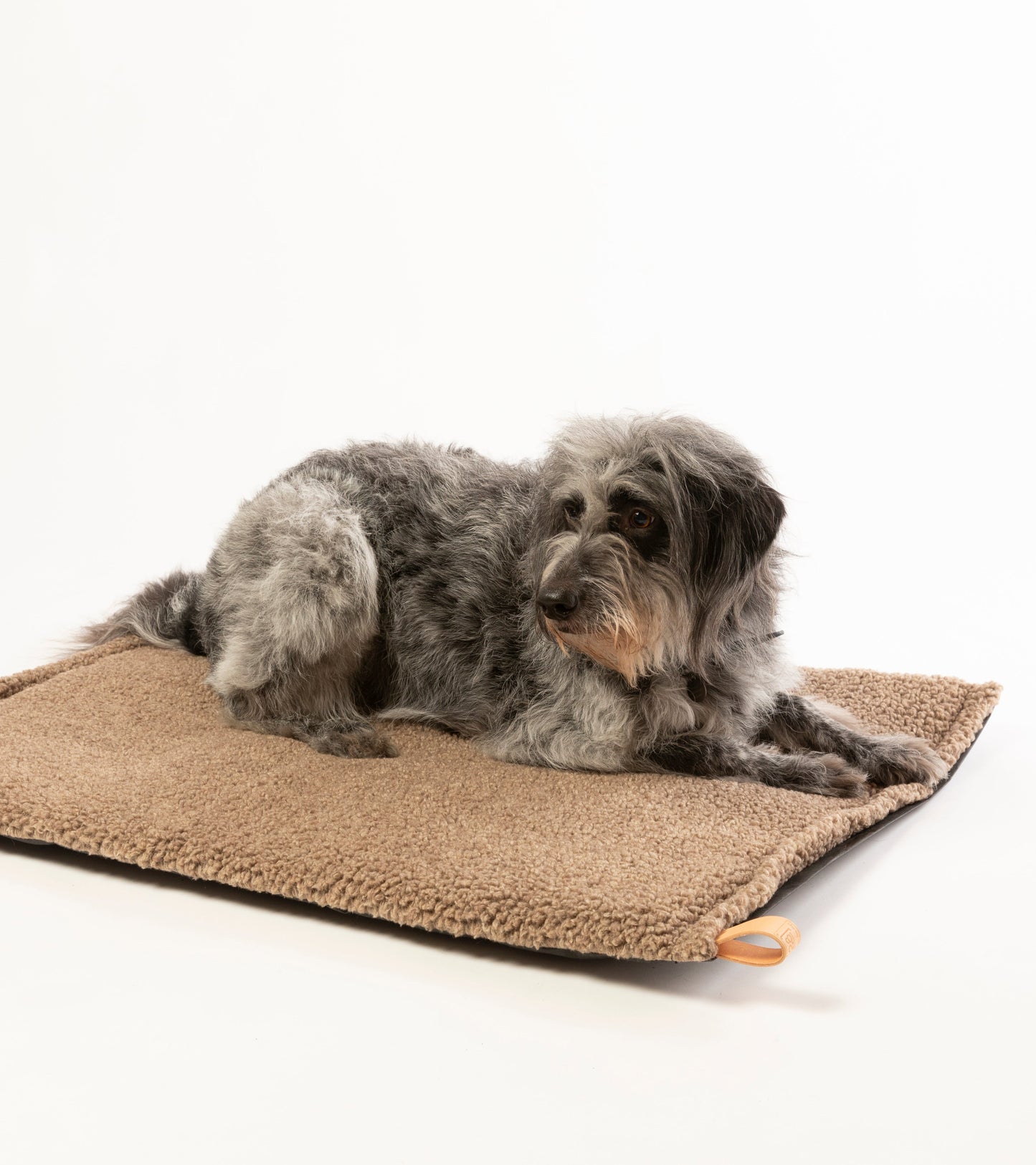 RICHARD - THIN DOG CUSHION IN WOOL