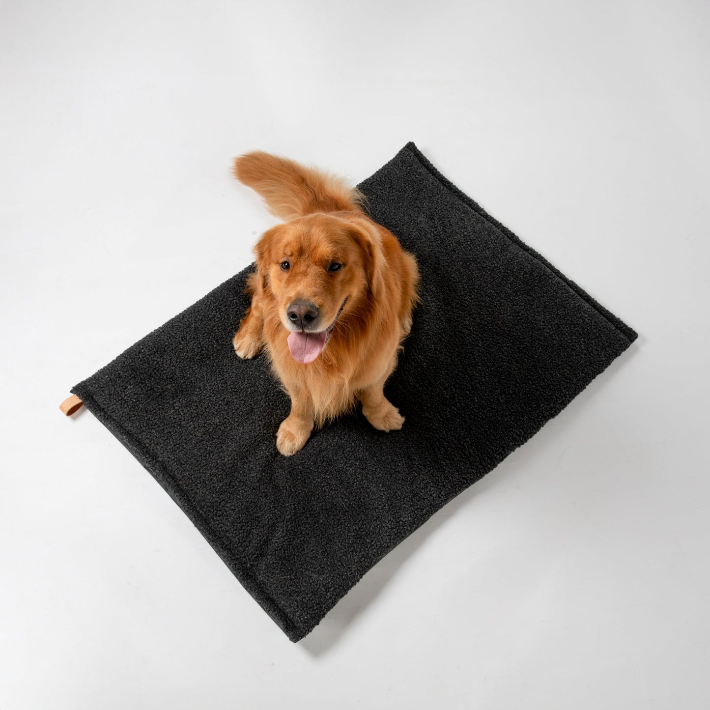 RICHARD - THIN DOG CUSHION IN WOOL