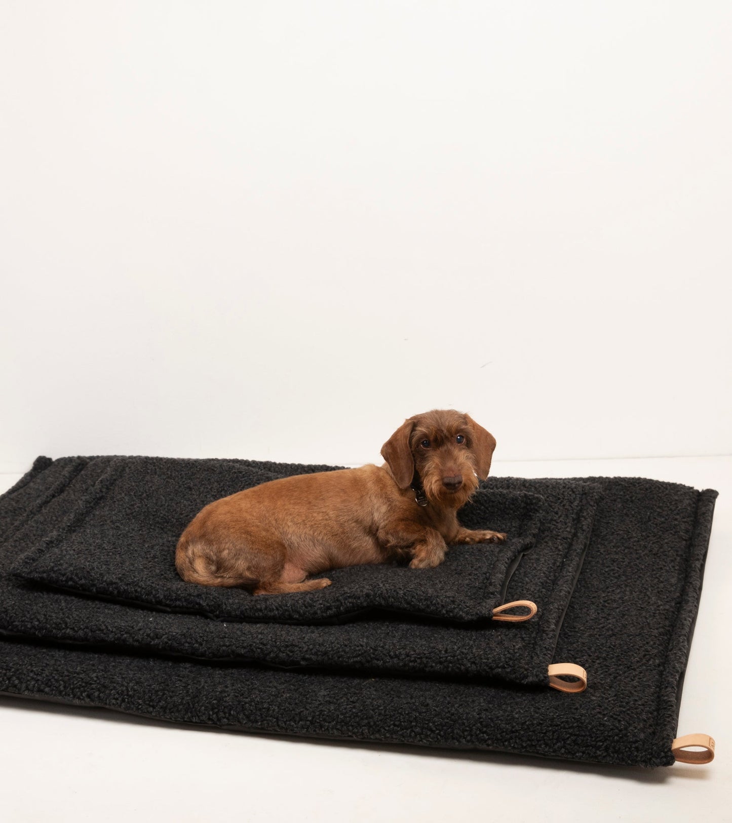 RICHARD - THIN DOG CUSHION IN WOOL