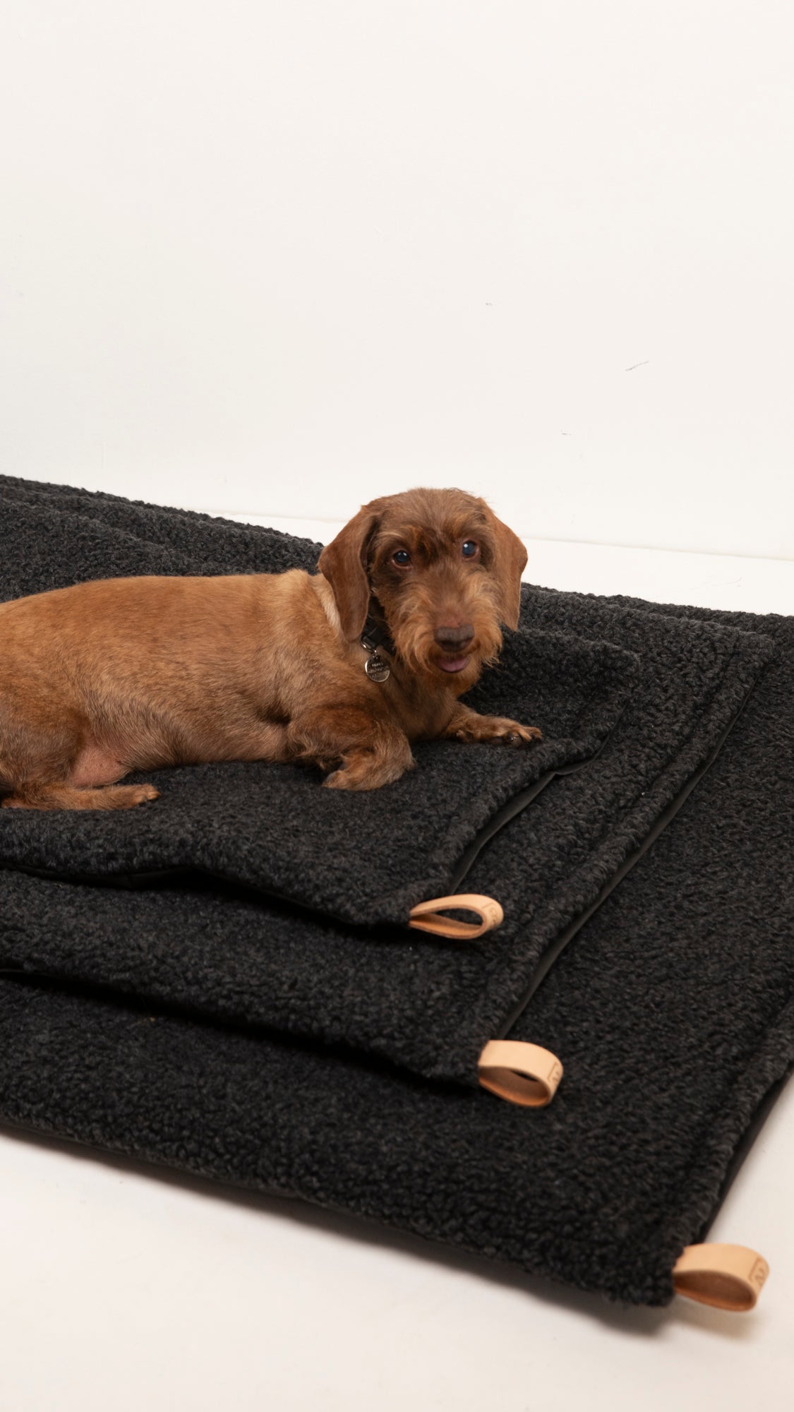 RICHARD - THIN DOG CUSHION IN WOOL
