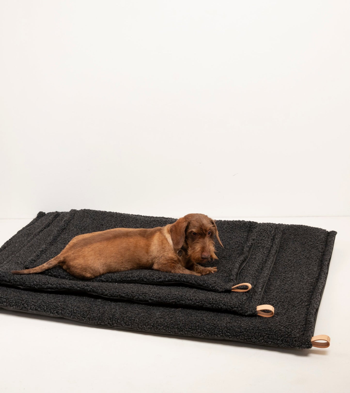 RICHARD - THIN DOG CUSHION IN WOOL