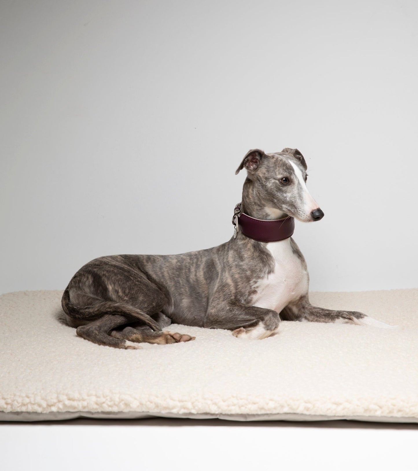 RICHARD - THIN DOG CUSHION IN WOOL