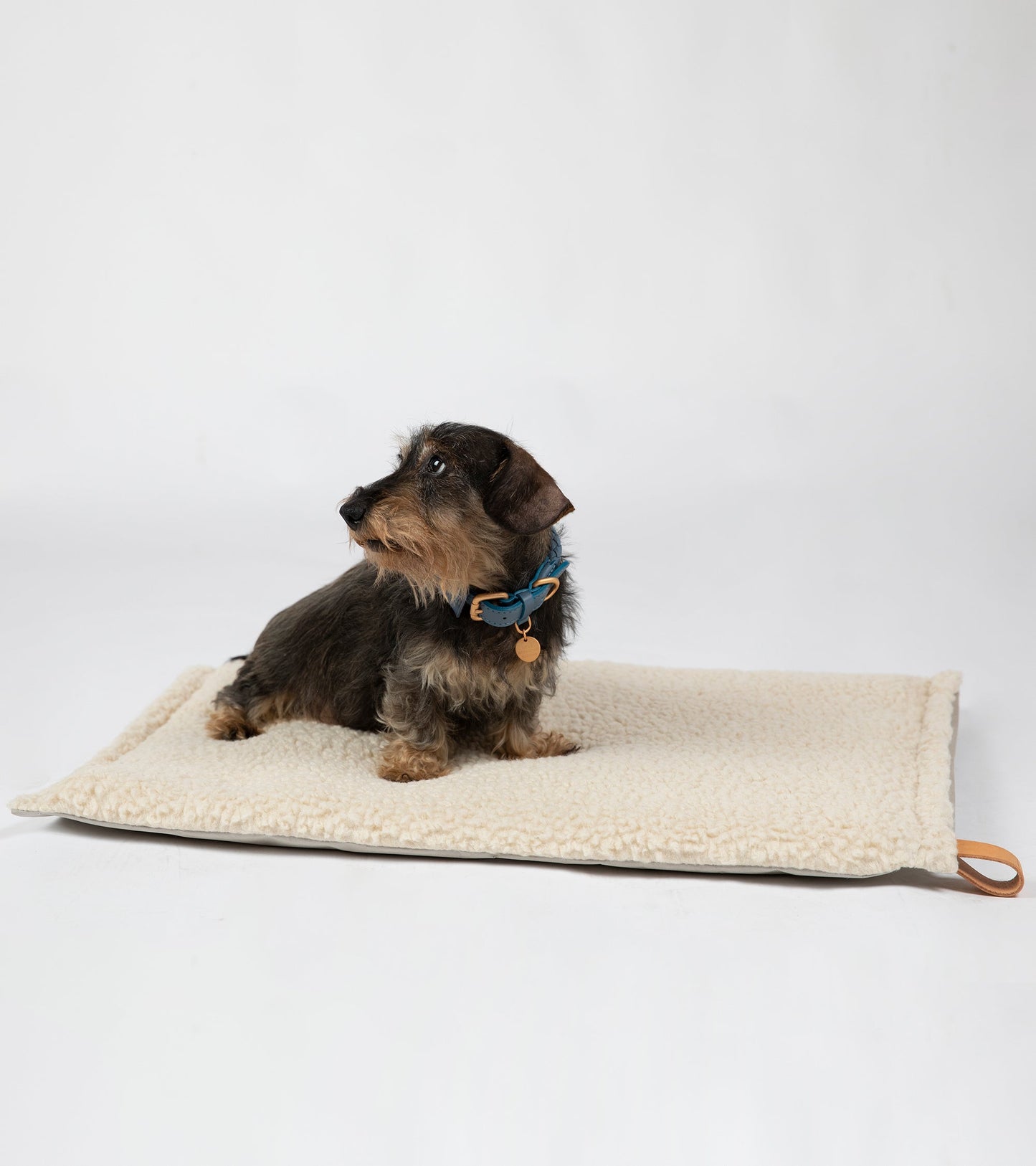 RICHARD - THIN DOG CUSHION IN WOOL