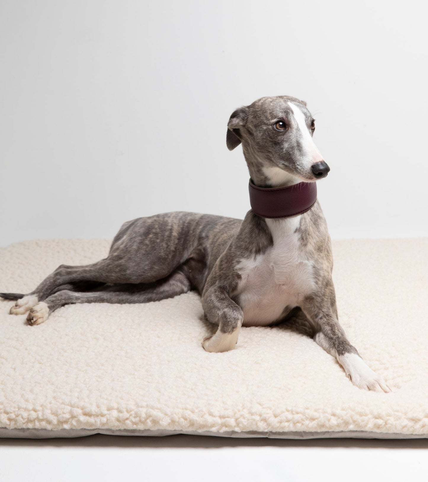 RICHARD - THIN DOG CUSHION IN WOOL