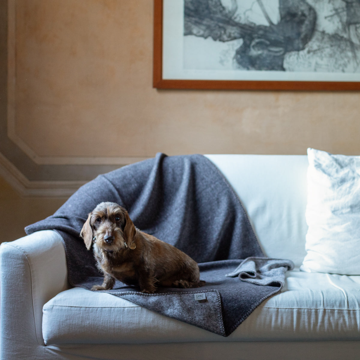 YUKI-BAMBOO BLANKET
