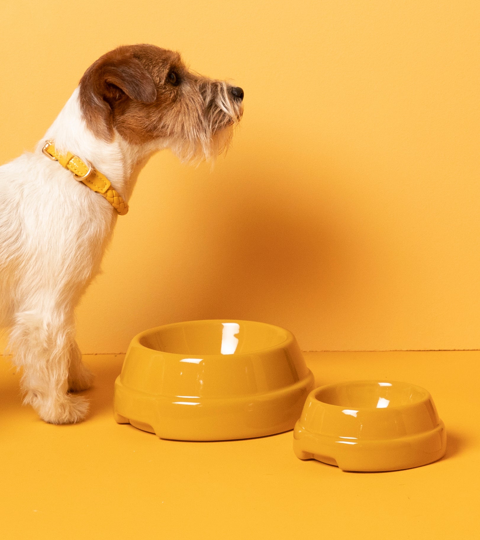 SEBASTIAO-DOG BOWL