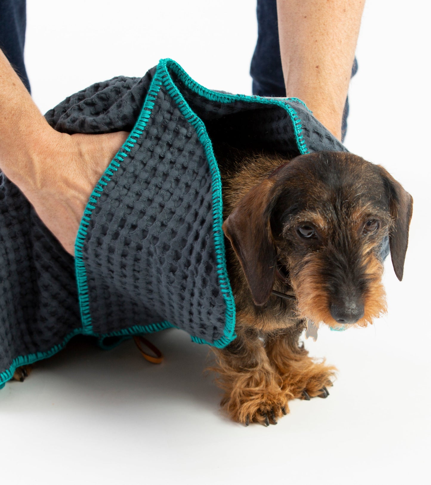 SALLY - HONEYCOMB COTTON DOG TOWEL