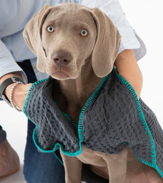 SALLY - HONEYCOMB COTTON DOG TOWEL