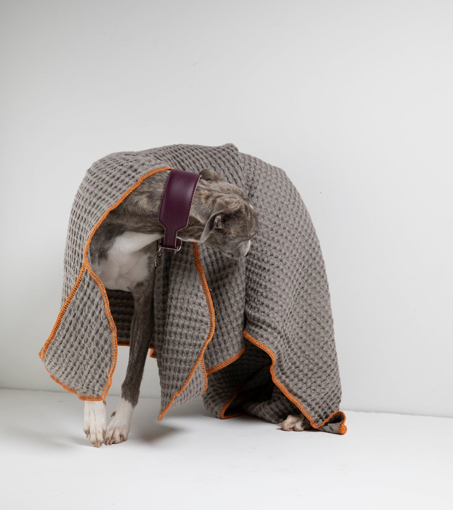 SALLY - HONEYCOMB COTTON DOG TOWEL