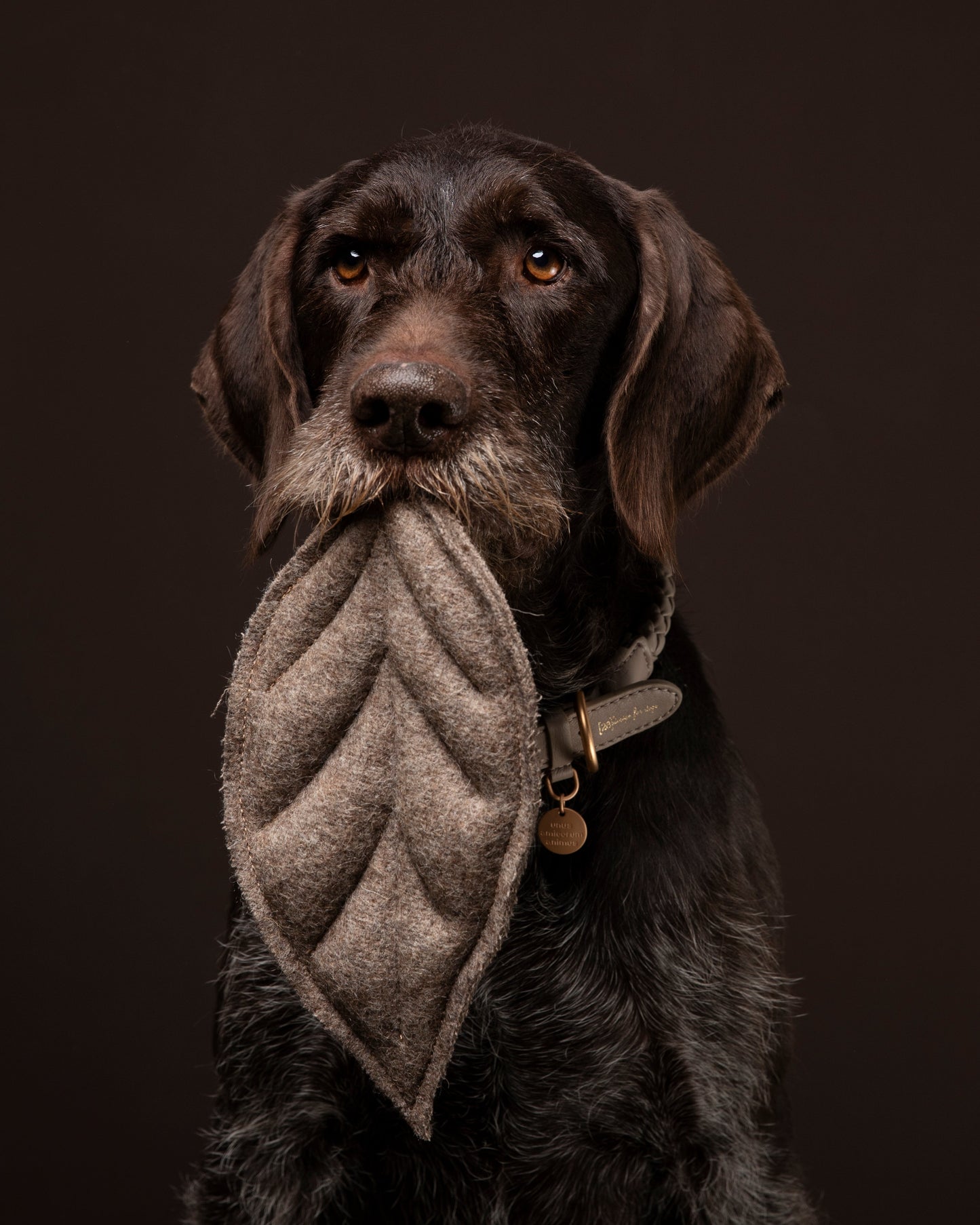 MIMMO-DOG TOY FIG