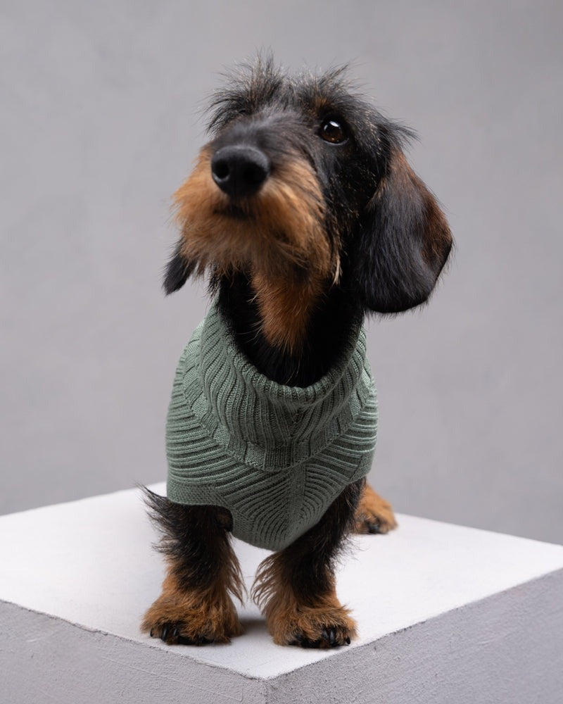 PAUL – MERINO WOOL DOG SWEATER