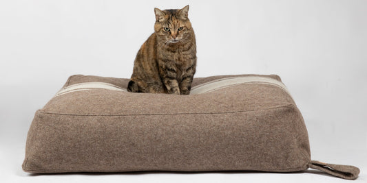 YOUSUF-DOG CUSHION IN RECYCLED WOOL