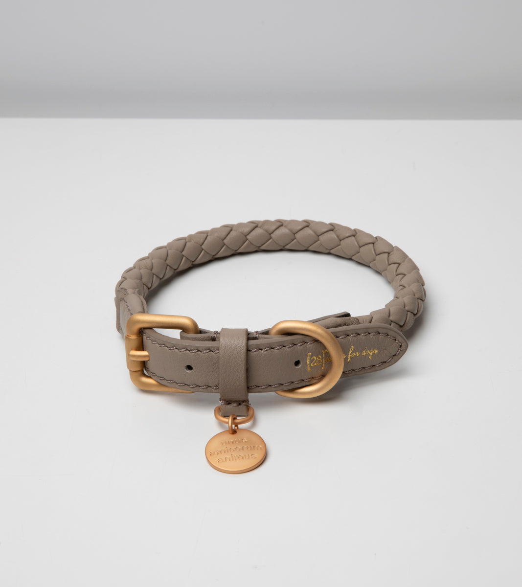 FERDINANDO COLLAR