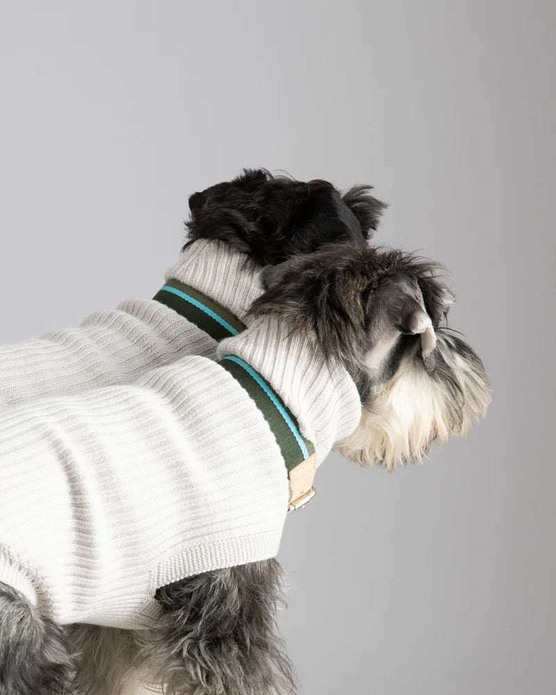 PAUL – MERINO WOOL DOG SWEATER