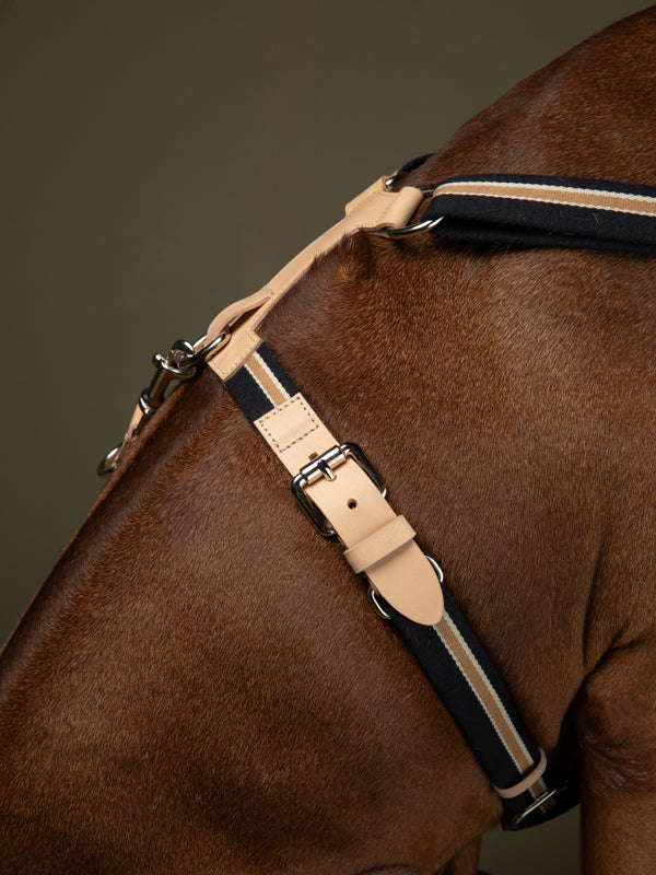 FRANCO HARNESS
