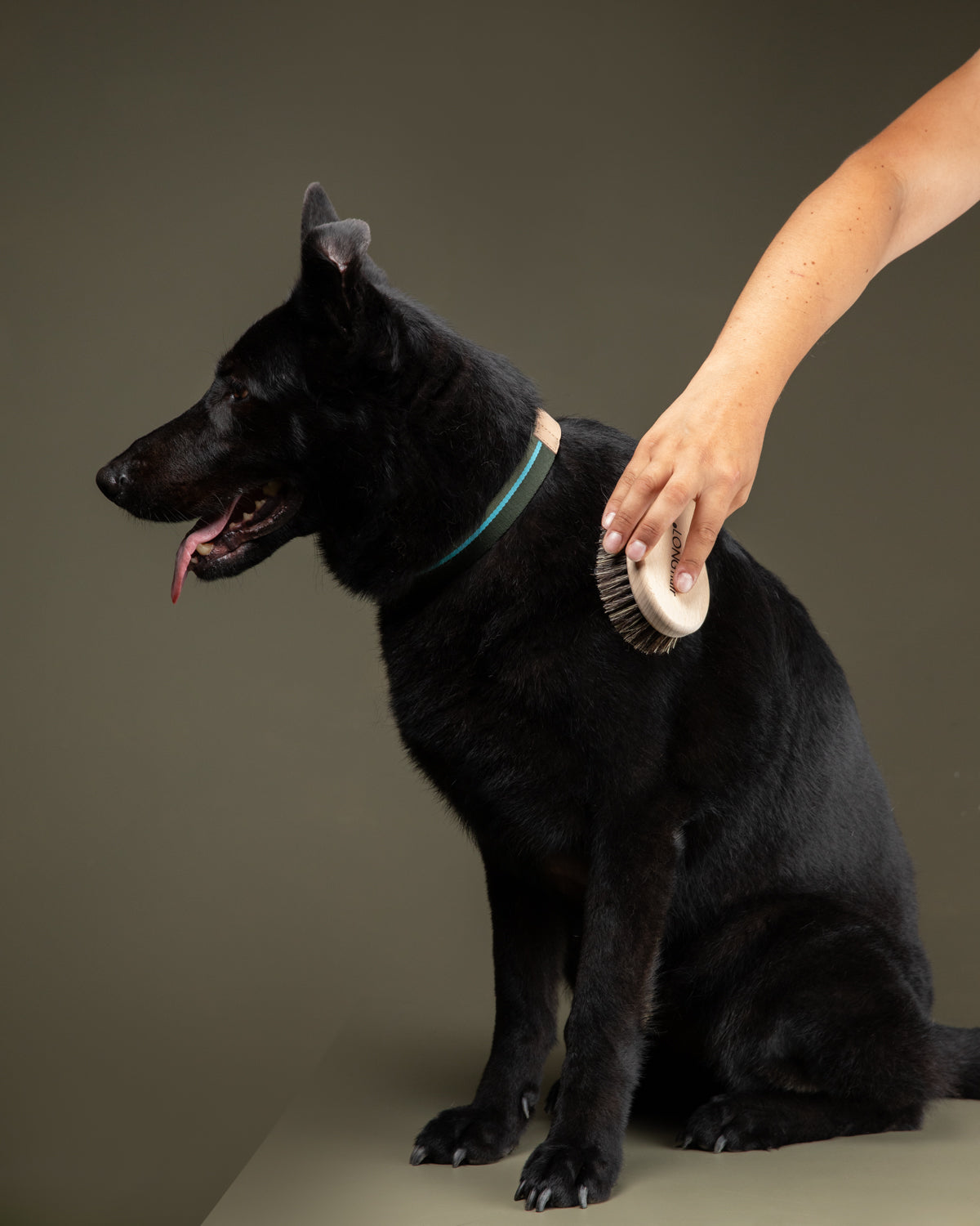 LEE - DOG BRUSH