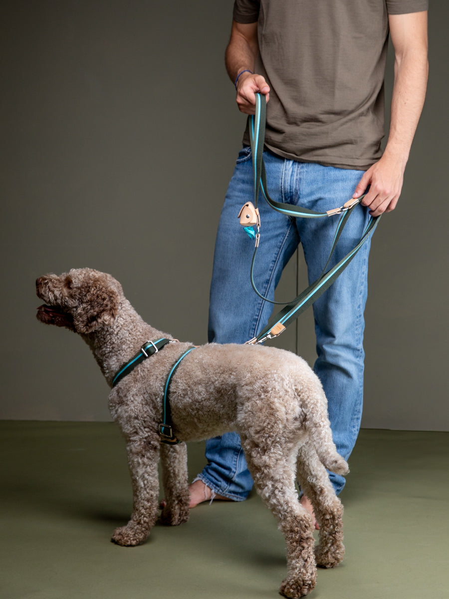 GERDA - NATURAL LEATHER POOP BAG HOLDER
