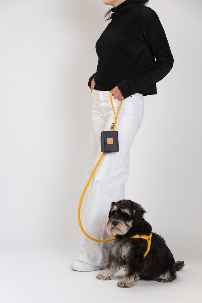 MARIO HARNESS