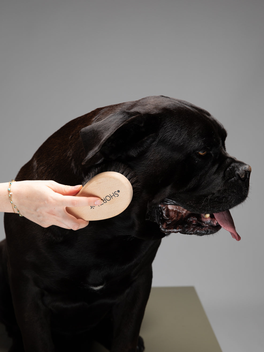 LEE - DOG BRUSH