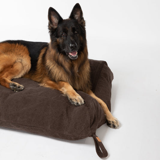YOUSUF-DOG CUSHION IN ORGANIC COTTON
