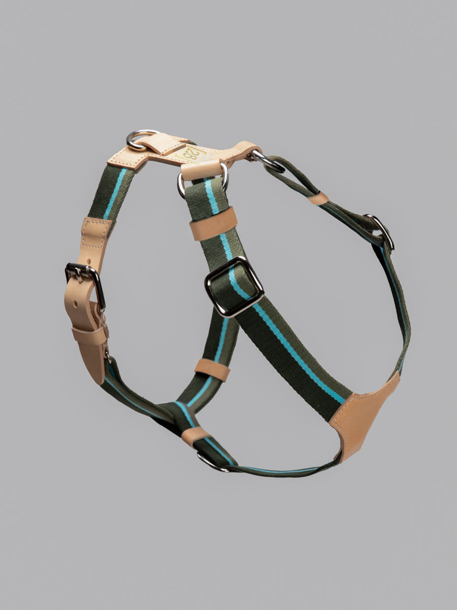 FRANCO HARNESS