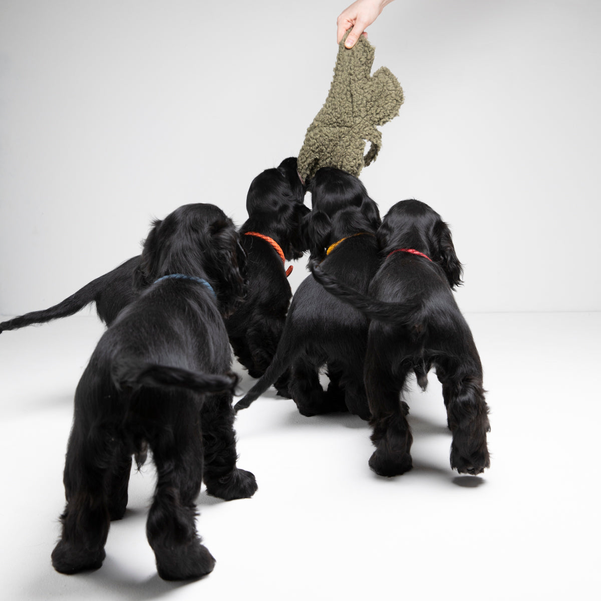 MIMMO-DOG TOY FIG