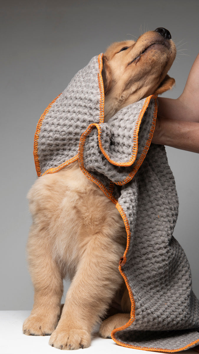 SALLY - HONEYCOMB COTTON DOG TOWEL