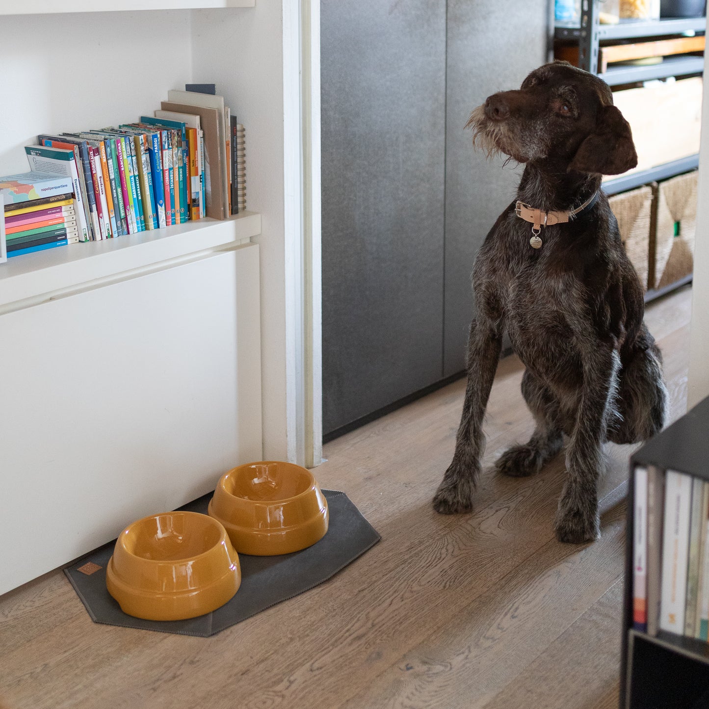 DAVID  DOG PLACEMAT FAUX LEATHER